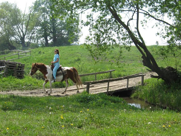 IMG_0902 - ECHITATIE 2011