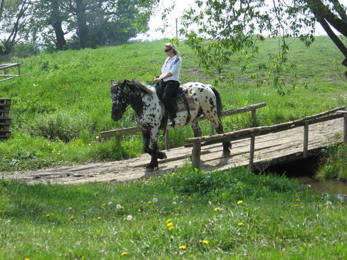 IMG_0903 - ECHITATIE 2011