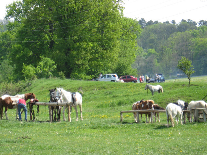 IMG_0913 - ECHITATIE 2011