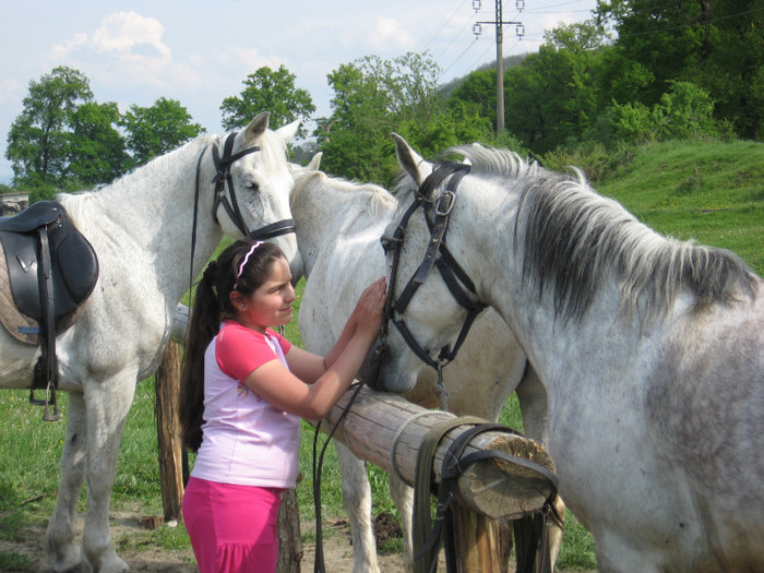 IMG_0915 - ECHITATIE 2011