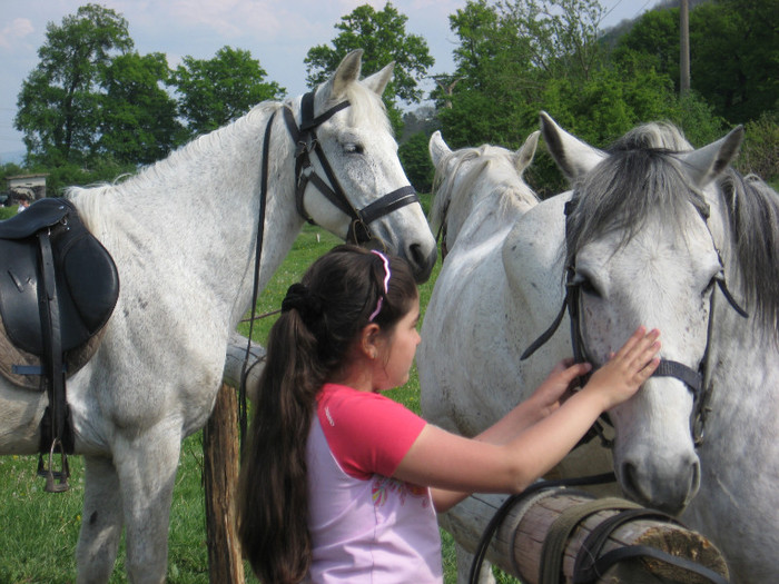 IMG_0916 - ECHITATIE 2011