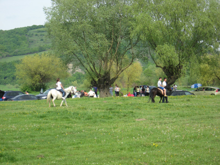 IMG_0919 - ECHITATIE 2011