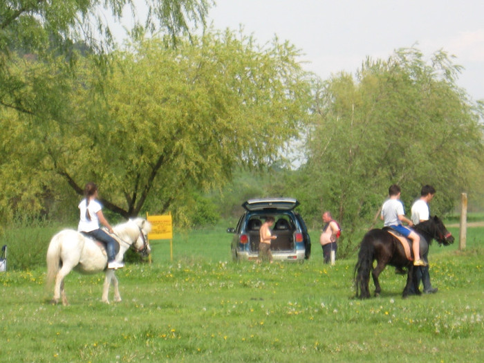 IMG_0920 - ECHITATIE 2011