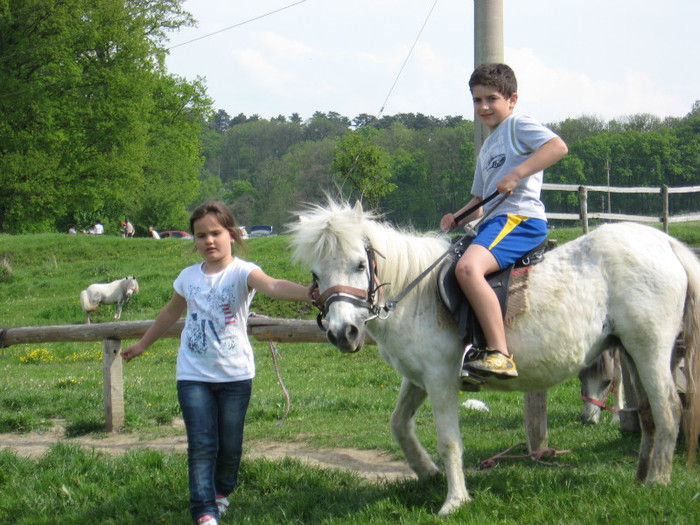 IMG_0922 - ECHITATIE 2011