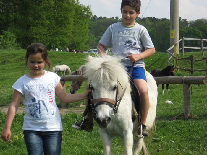 IMG_0923 - ECHITATIE 2011