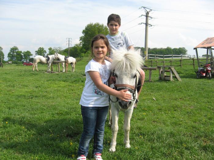 IMG_0924 - ECHITATIE 2011