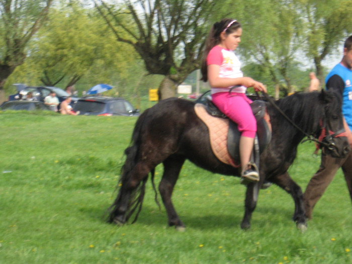 IMG_0931 - ECHITATIE 2011