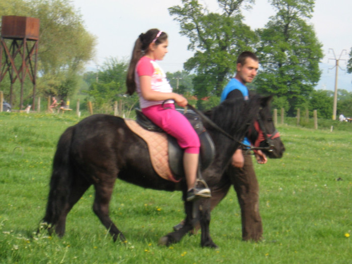 IMG_0932 - ECHITATIE 2011