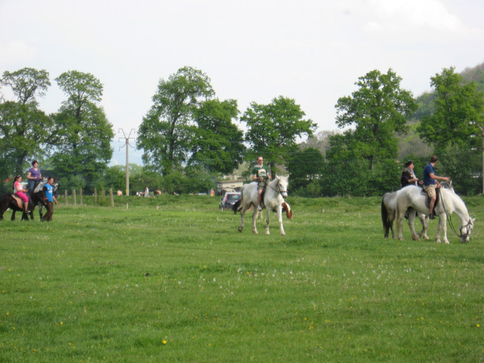 IMG_0933 - ECHITATIE 2011