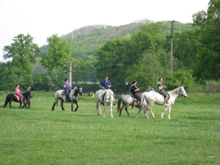 IMG_0935 - ECHITATIE 2011