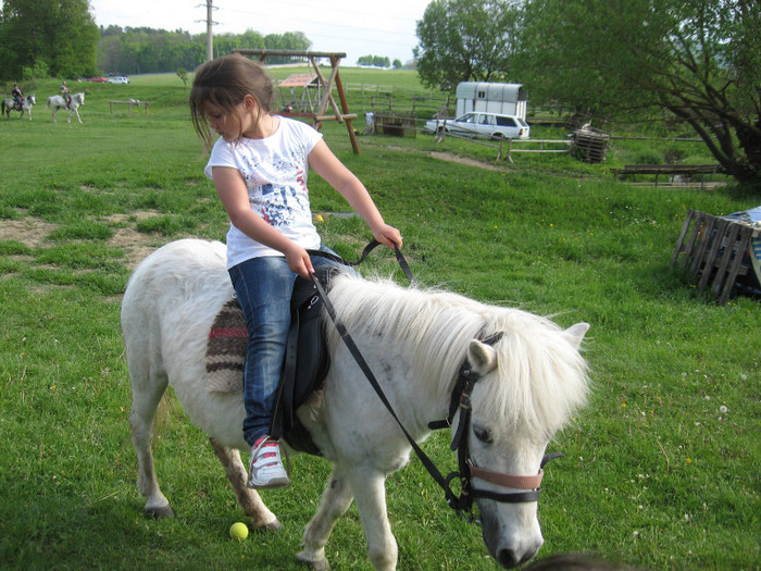 IMG_0936 - ECHITATIE 2011