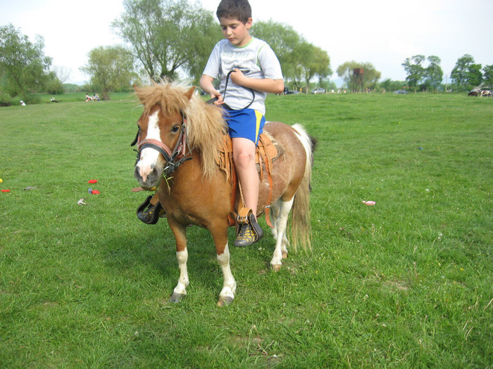 IMG_0937 - ECHITATIE 2011