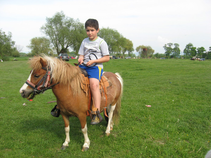 IMG_0938 - ECHITATIE 2011