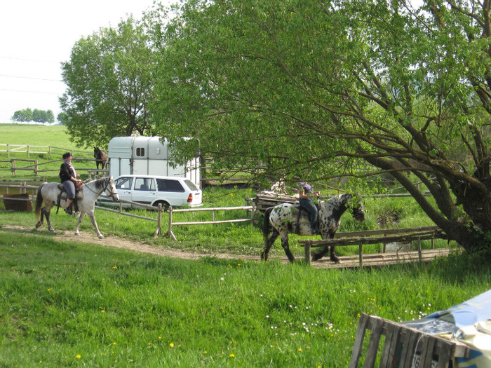 IMG_0940 - ECHITATIE 2011