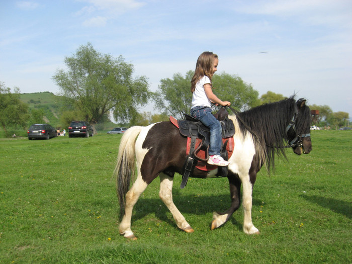 IMG_0965 - ECHITATIE 2011