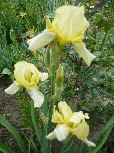 001