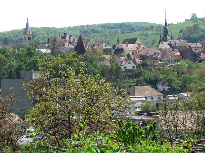 Sighisoara - Contact-Sighisoara