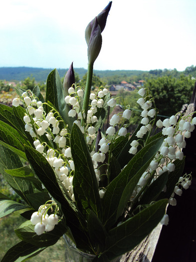 DSC00760 - ARANJAMENTELE MELE FLORALE