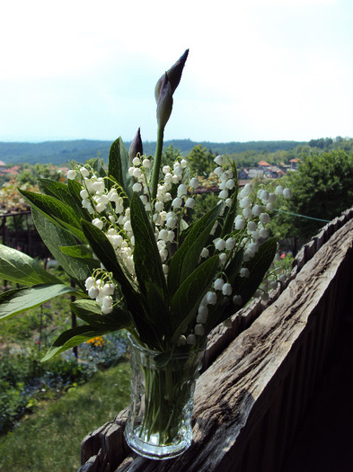 DSC00757 - ARANJAMENTELE MELE FLORALE