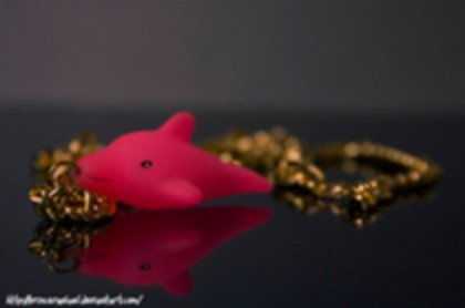photo (8)