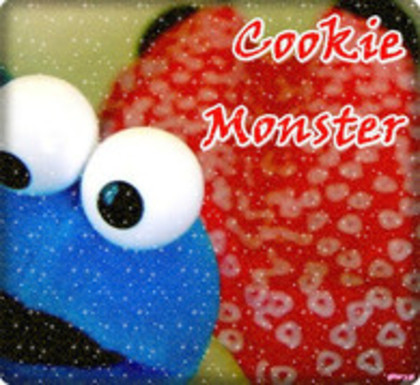 kooki (4) - Coockie Monster
