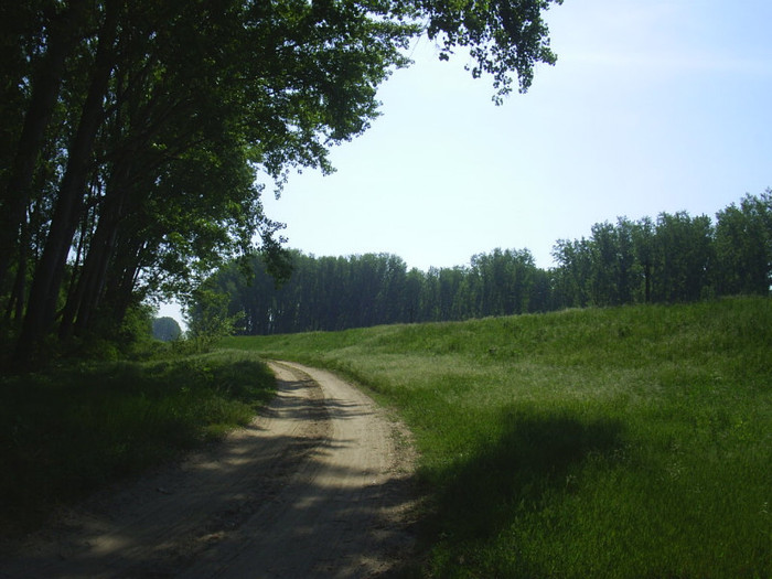 15 MAI 2011-RAST; drum de caruta langa dig
