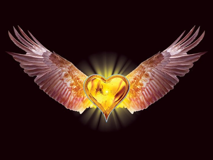 Eagle_Heart