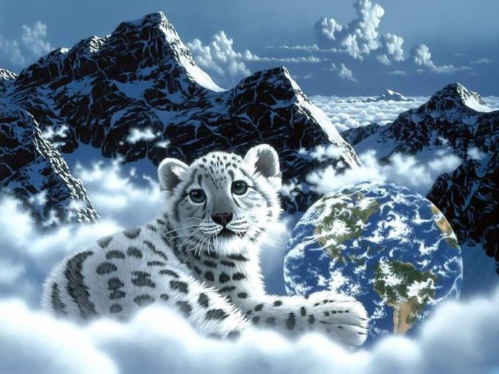 Tiger_Year