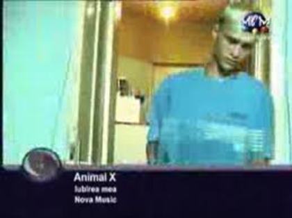 Animal X - Animal X