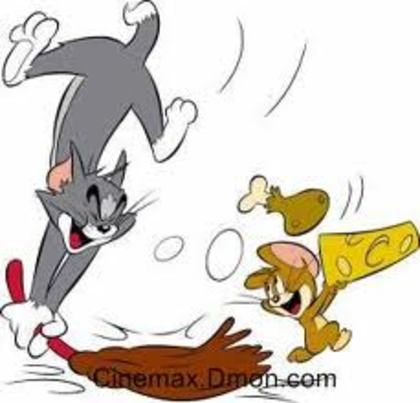 imagesCAOL5LHK - poze tom si jerry