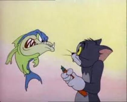 imagesCAUQX2SI - poze tom si jerry