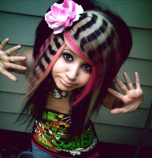 new-girl-punk-emo-hairstyles - avatare punk