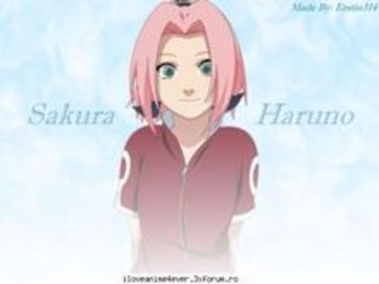 kkkk - sakura