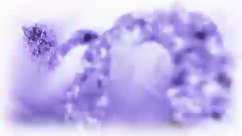 bscap0060