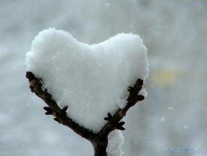 snow_heart_ulyv - inimii