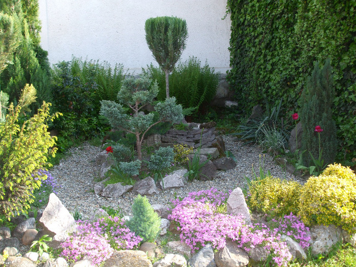 DSCF7665