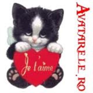 imagesCAOI5WEE - poze EMO