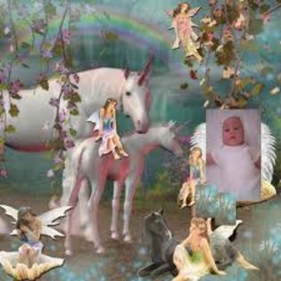 imagesCAZJVBOW - poze ponei si unicorni