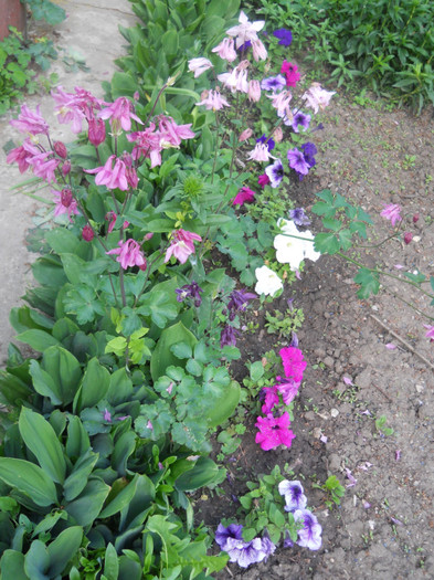 DSCN1166