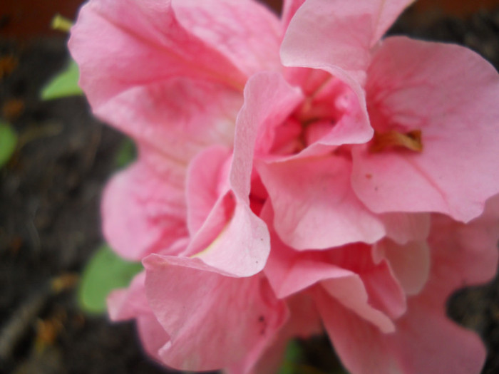DSCN1173