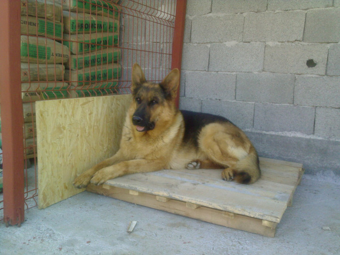 HASSAN I