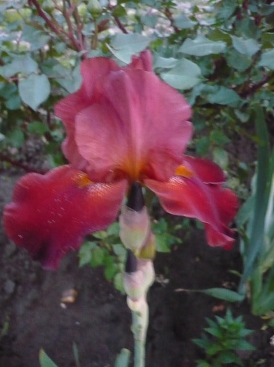 092