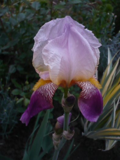 073