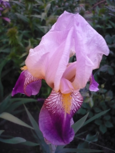 074