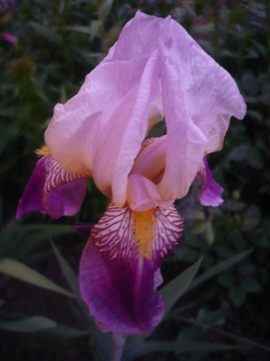 075