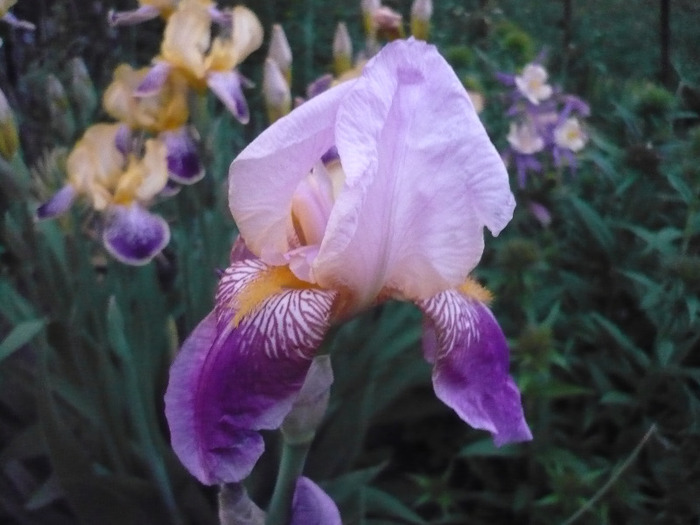 076