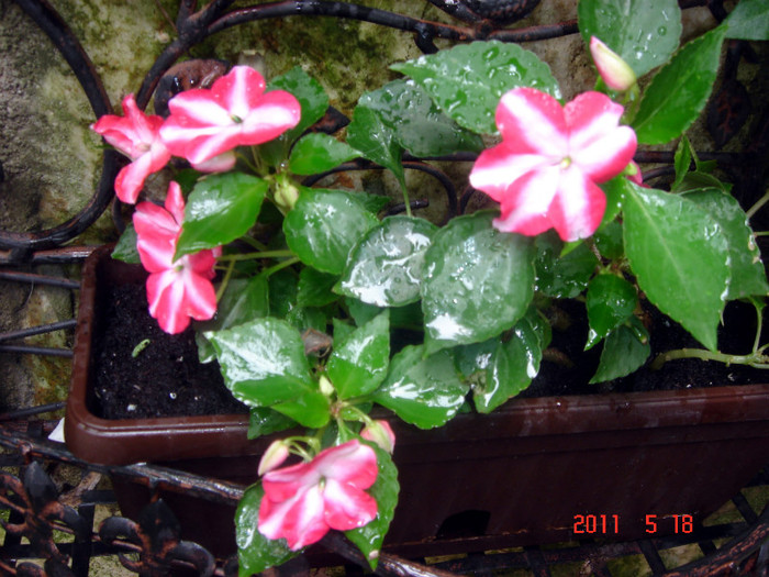DSC00189