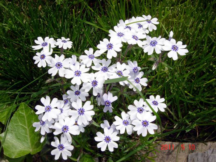 DSC00059