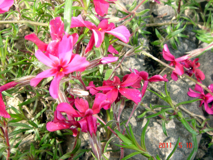 DSC00064