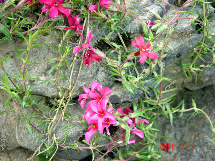 DSC00077